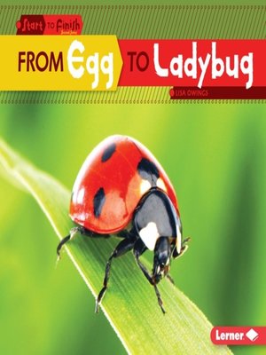 cover image of From Egg to Ladybug